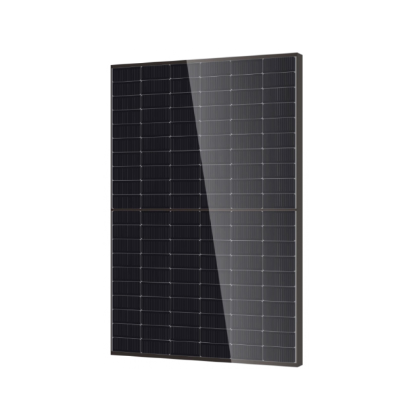 Panel Solar Bifacial DMEGC 500Wp